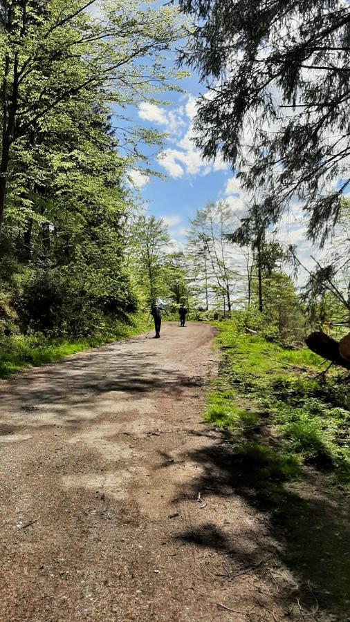 Harz-Huette - Schnuckelig Fewo In St. Andreasberg Sankt Andreasberg Ngoại thất bức ảnh